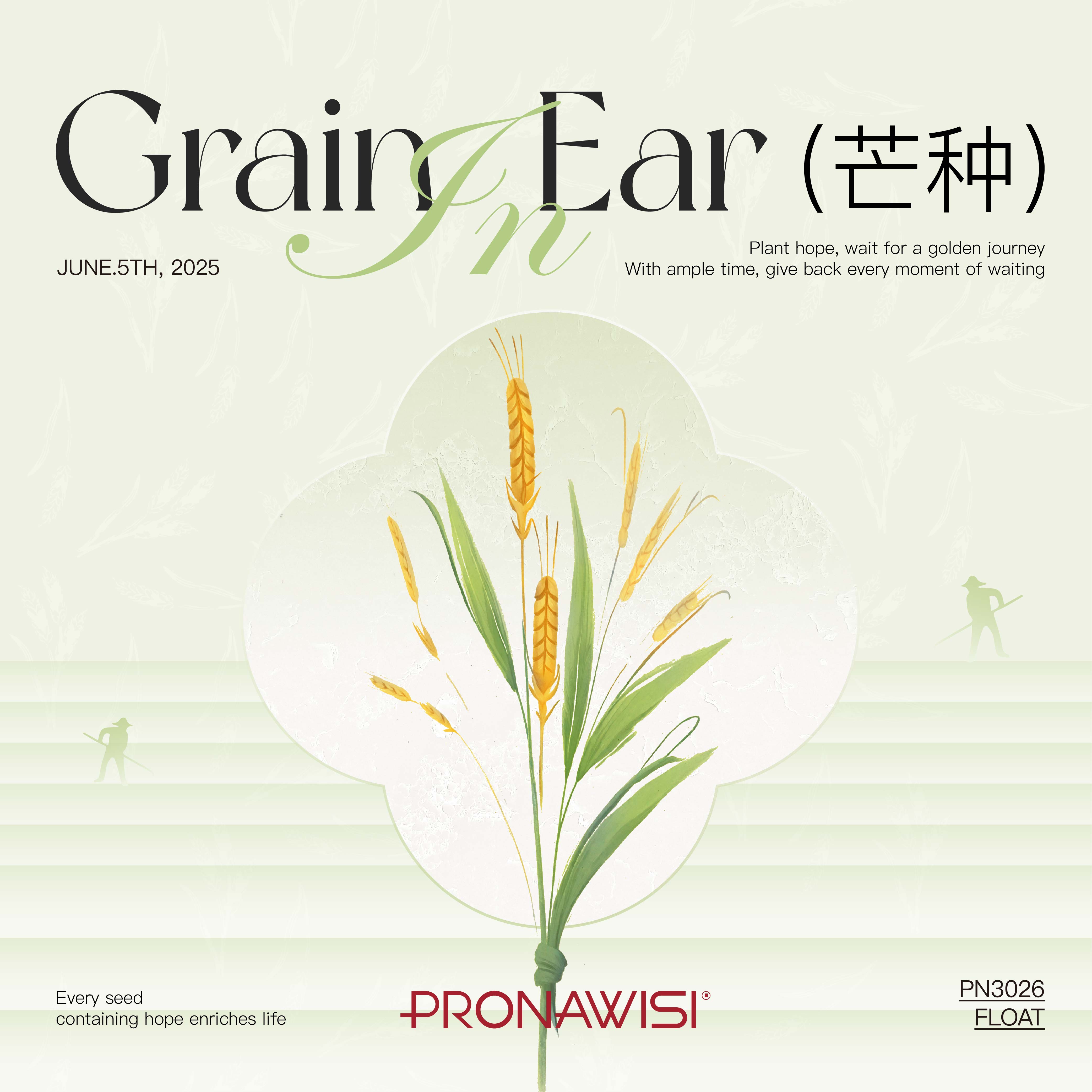 2025芒种_画板_1_画板_1_副本